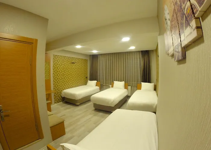 Hotel Okur 2*