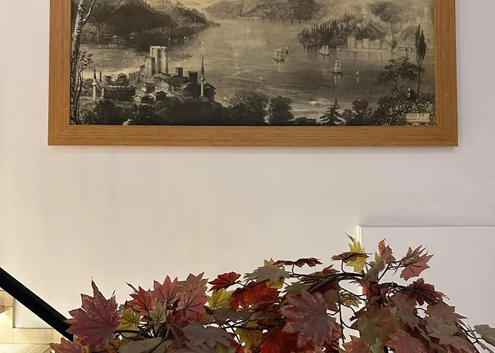 奥库酒店 酒店 伊斯坦布尔